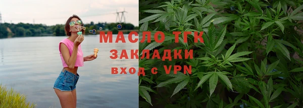 соль ск Ельня