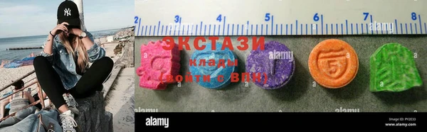 соль ск Ельня