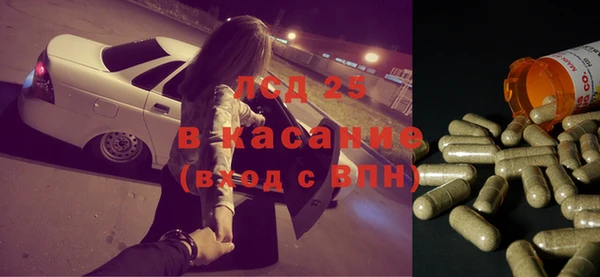 соль ск Ельня