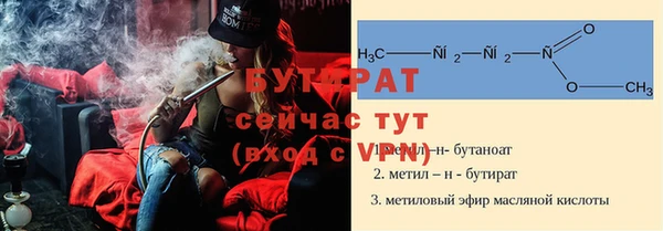 соль ск Ельня