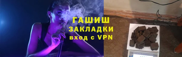 соль ск Ельня
