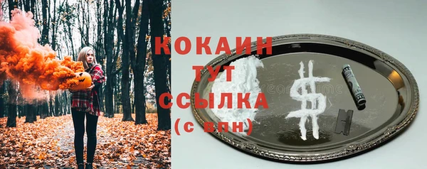 соль ск Ельня