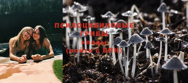 гидропоника Елабуга