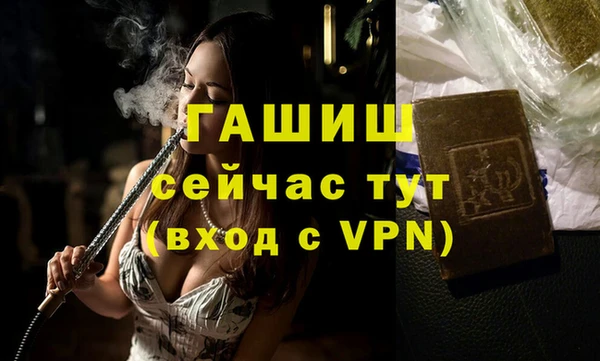 соль ск Ельня