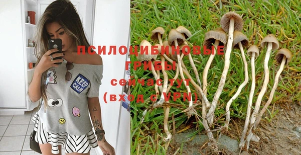скорость Елизово