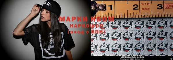 соль ск Ельня