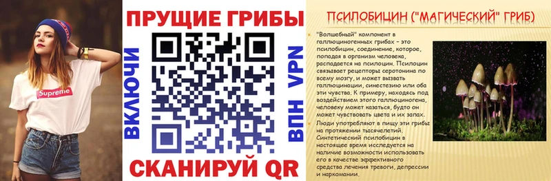 Галлюциногенные грибы Psilocybe  сколько стоит  Заволжск 
